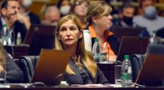 Foto de la galería: Parlamento Misionero: fomentarán la producción y consumo de miel de diferentes especies florales