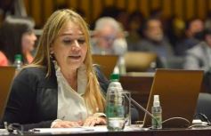 Foto de la galería: Parlamento Misionero: fomentarán la producción y consumo de miel de diferentes especies florales