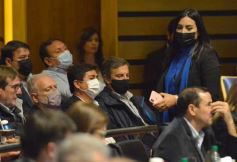 Foto de la galería: Parlamento Misionero: fomentarán la producción y consumo de miel de diferentes especies florales