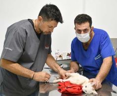 Foto de la galería: Recorridas en Posadas: muchos amigos y buena onda en las salidas por la ciudad capital