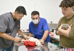 Foto de la galería: Recorridas en Posadas: muchos amigos y buena onda en las salidas por la ciudad capital