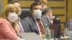 Foto de la galería: Diputados en sesión: aprobaron la ley de fibromialgia y patologías asociadas en Misiones