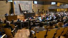 Foto de la galería: Diputados en sesión: aprobaron la ley de fibromialgia y patologías asociadas en Misiones