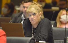 Foto de la galería: Diputados en sesión: aprobaron la ley de fibromialgia y patologías asociadas en Misiones