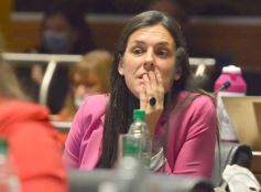 Foto de la galería: Diputados en sesión: aprobaron la ley de fibromialgia y patologías asociadas en Misiones