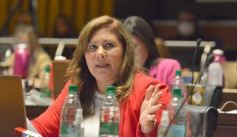 Foto de la galería: Diputados en sesión: aprobaron la ley de fibromialgia y patologías asociadas en Misiones