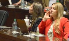 Foto de la galería: Diputados en sesión: aprobaron la ley de fibromialgia y patologías asociadas en Misiones