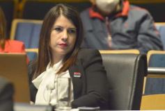 Foto de la galería: Diputados en sesión: aprobaron la ley de fibromialgia y patologías asociadas en Misiones