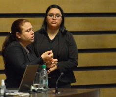 Foto de la galería: Diputados en sesión: aprobaron la ley de fibromialgia y patologías asociadas en Misiones