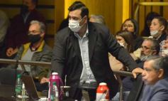 Foto de la galería: Diputados en sesión: aprobaron la ley de fibromialgia y patologías asociadas en Misiones