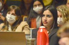 Foto de la galería: Diputados en sesión: aprobaron la ley de fibromialgia y patologías asociadas en Misiones