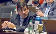 Foto de la galería: Diputados en sesión: aprobaron la ley de fibromialgia y patologías asociadas en Misiones