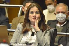 Foto de la galería: Diputados en sesión: aprobaron la ley de fibromialgia y patologías asociadas en Misiones