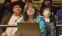 Foto de la galería: Diputados en sesión: aprobaron la ley de fibromialgia y patologías asociadas en Misiones