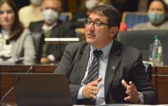 Foto de la galería: Diputados en sesión: aprobaron la ley de fibromialgia y patologías asociadas en Misiones