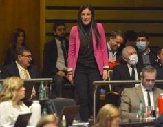 Foto de la galería: Diputados en sesión: aprobaron la ley de fibromialgia y patologías asociadas en Misiones