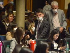 Foto de la galería: Diputados en sesión: aprobaron la ley de fibromialgia y patologías asociadas en Misiones
