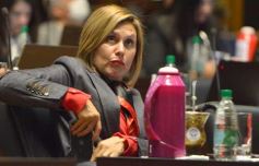 Foto de la galería: Diputados en sesión: aprobaron la ley de fibromialgia y patologías asociadas en Misiones