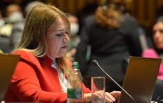 Foto de la galería: Diputados en sesión: aprobaron la ley de fibromialgia y patologías asociadas en Misiones