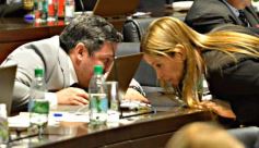 Foto de la galería: Diputados en sesión: aprobaron la ley de fibromialgia y patologías asociadas en Misiones