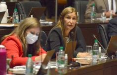 Foto de la galería: Diputados en sesión: aprobaron la ley de fibromialgia y patologías asociadas en Misiones