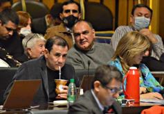 Foto de la galería: Diputados en sesión: aprobaron la ley de fibromialgia y patologías asociadas en Misiones