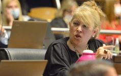 Foto de la galería: Diputados en sesión: aprobaron la ley de fibromialgia y patologías asociadas en Misiones