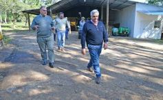 Foto de la galería: Productiva visita del presidente del IFAI Gervasoni al Campo de ovejas "La Armonía"