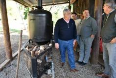 Foto de la galería: Productiva visita del presidente del IFAI Gervasoni al Campo de ovejas "La Armonía"