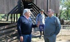 Foto de la galería: Productiva visita del presidente del IFAI Gervasoni al Campo de ovejas "La Armonía"