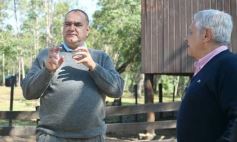 Foto de la galería: Productiva visita del presidente del IFAI Gervasoni al Campo de ovejas "La Armonía"