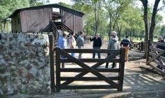 Foto de la galería: Productiva visita del presidente del IFAI Gervasoni al Campo de ovejas "La Armonía"