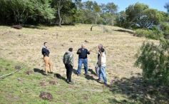 Foto de la galería: Productiva visita del presidente del IFAI Gervasoni al Campo de ovejas "La Armonía"