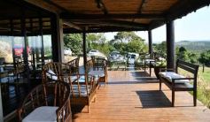 Foto de la galería: Productiva visita del presidente del IFAI Gervasoni al Campo de ovejas "La Armonía"