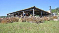 Foto de la galería: Productiva visita del presidente del IFAI Gervasoni al Campo de ovejas "La Armonía"