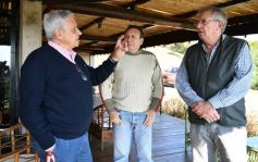 Foto de la galería: Productiva visita del presidente del IFAI Gervasoni al Campo de ovejas "La Armonía"