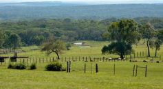 Foto de la galería: Productiva visita del presidente del IFAI Gervasoni al Campo de ovejas "La Armonía"