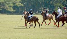 Foto de la galería: El Polo encabezó un gran fin de semana hípico y familiar en Posadas
