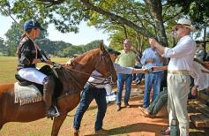 Foto de la galería: El Polo encabezó un gran fin de semana hípico y familiar en Posadas