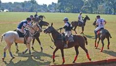 Foto de la galería: El Polo encabezó un gran fin de semana hípico y familiar en Posadas