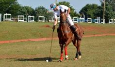 Foto de la galería: El Polo encabezó un gran fin de semana hípico y familiar en Posadas