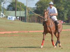 Foto de la galería: El Polo encabezó un gran fin de semana hípico y familiar en Posadas
