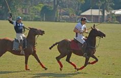 Foto de la galería: El Polo encabezó un gran fin de semana hípico y familiar en Posadas