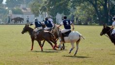Foto de la galería: El Polo encabezó un gran fin de semana hípico y familiar en Posadas