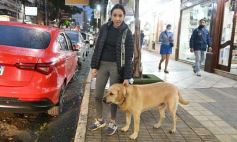 Foto de la galería: Paisaje urbano y amigos fueron parte de las recorridas en el centro posadeño