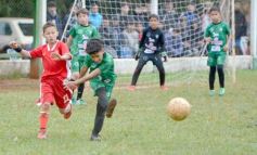Foto de la galería: El Brete se coronó en lo más alto del fútbol infantil posadeño