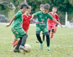 Foto de la galería: El Brete se coronó en lo más alto del fútbol infantil posadeño
