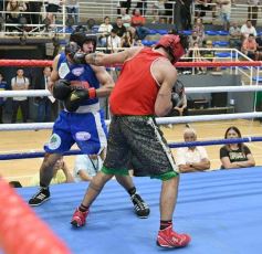 Foto de la galería: Velada de Boxeo: el festejo posadeño copó el ring en el "Finito"