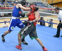 Foto de la galería: Velada de Boxeo: el festejo posadeño copó el ring en el "Finito"