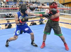 Foto de la galería: Velada de Boxeo: el festejo posadeño copó el ring en el "Finito"